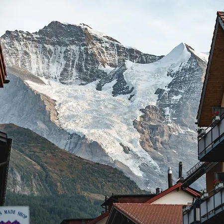 Hotell Braunbär Hotel&spa - Former Alpine Sunstar 4*