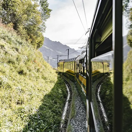 Braunbaer & 酒店 4*