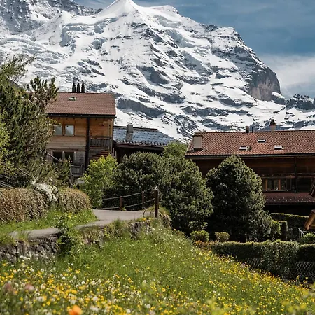 Braunbär Hotel&spa - Former Alpine Sunstar Hotell Wengen