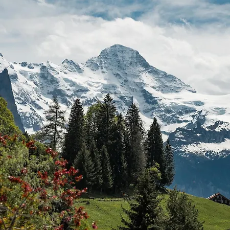 Otel Braunbaer & - Former Alpine Sunstar Wengen