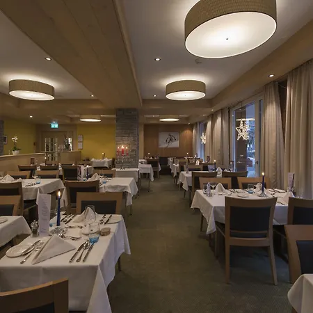 Braunbaer & 4* Wengen