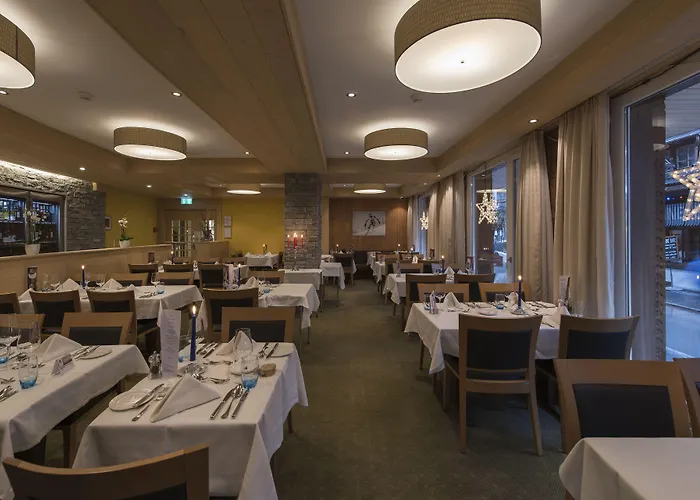 Braunbaer & 4* Wengen