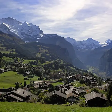 Braunbaer & - Former Alpine Sunstar Wengen