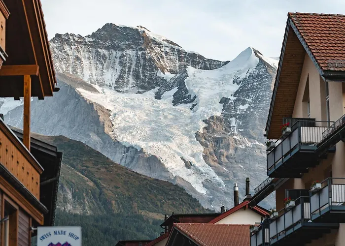 Hotel Braunbaer & 4*