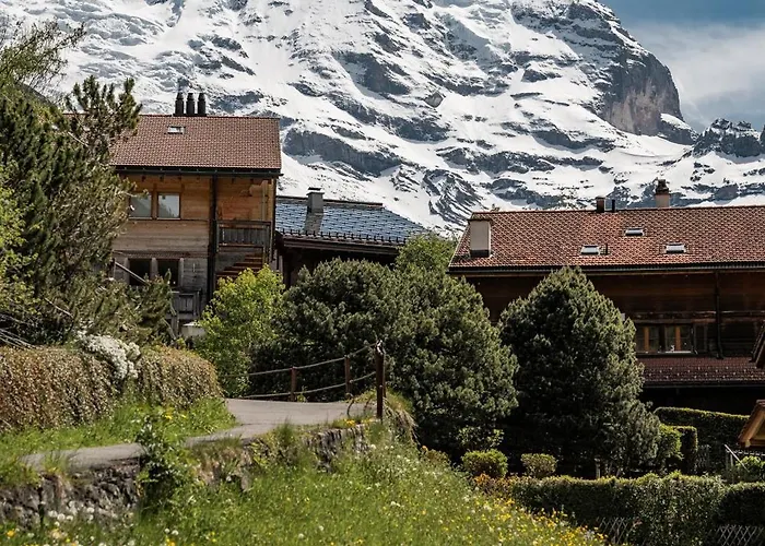 Braunbaer & Hotel Wengen