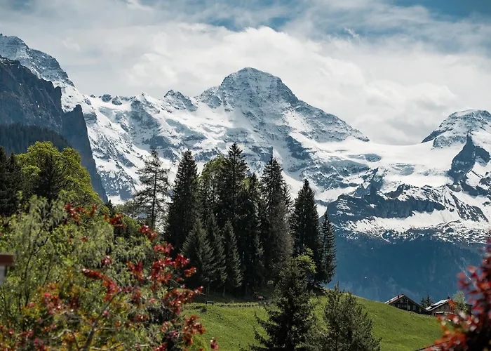 Hotel Braunbaer & Wengen