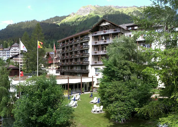 Braunbaer & 4* Wengen