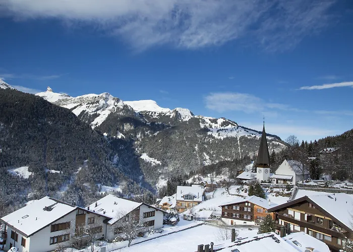 Hotel Braunbaer & Wengen