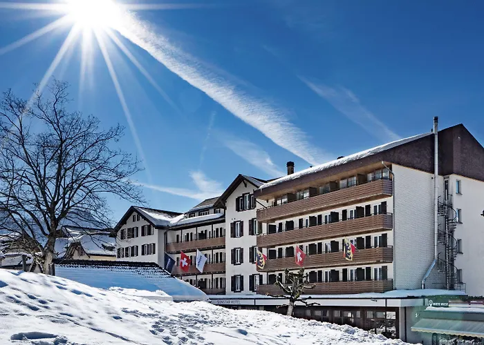 Braunbaer & Wengen