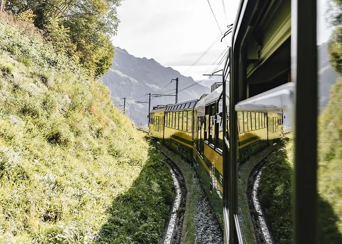 Braunbaer & 호텔 4*